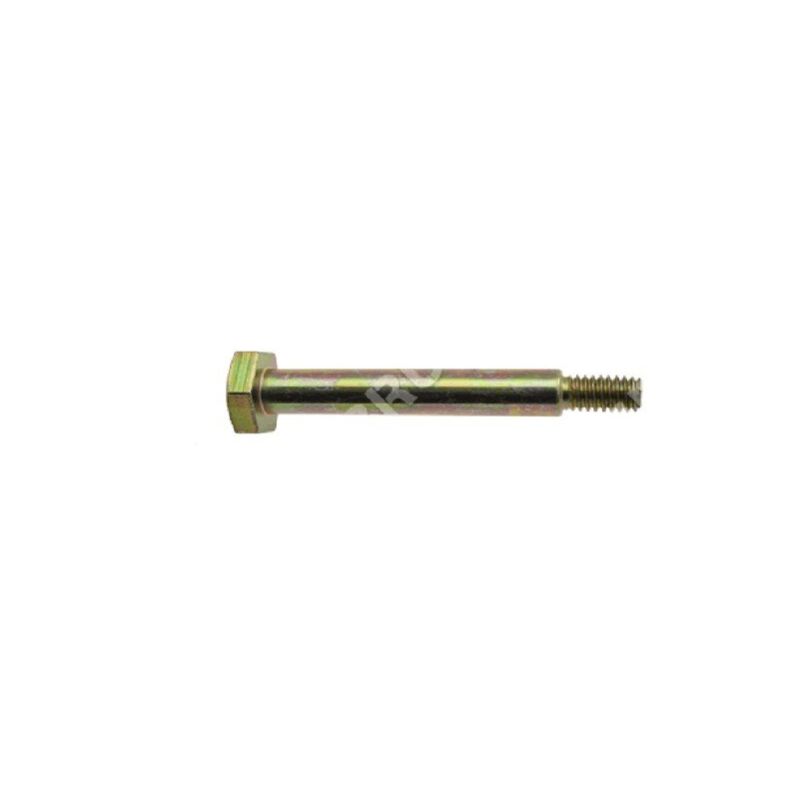 foto del prodotto vite mtd 738 04172 compatibile 021178