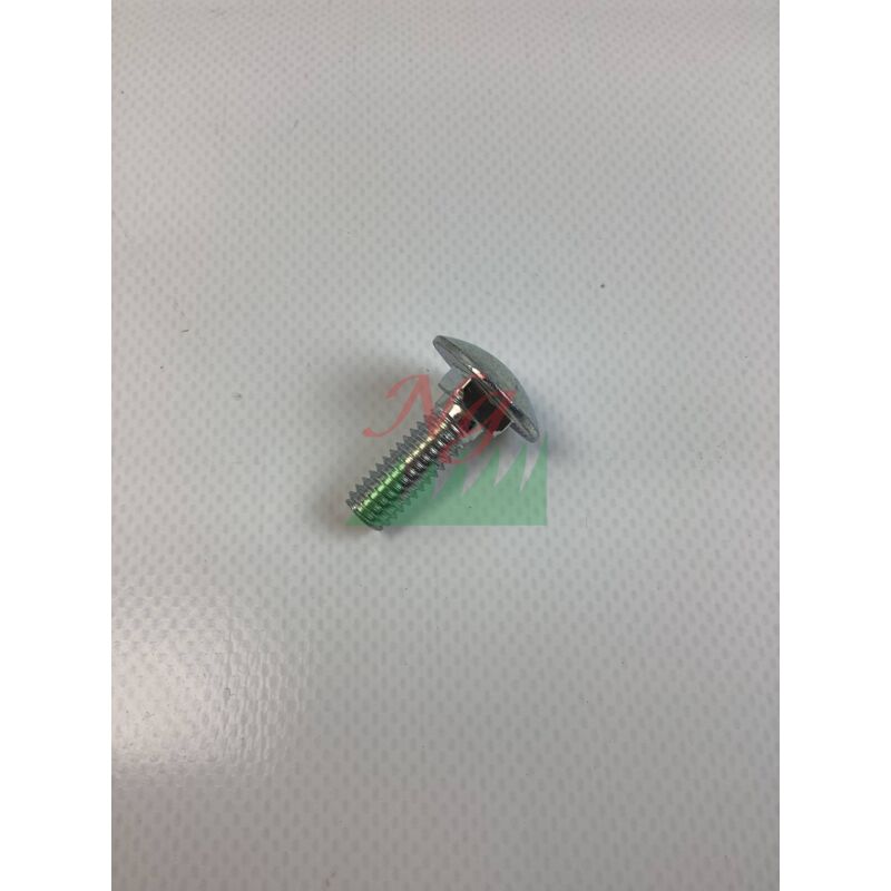 foto del prodotto vite originale mtd 710 04998