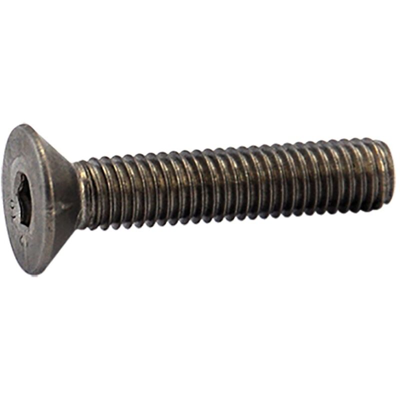 foto del prodotto vite per cremagliera insaccatrice testa svasata mm 8 x 40