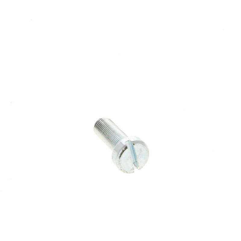 foto del prodotto vite per profilo per seghetto alternativo bosch