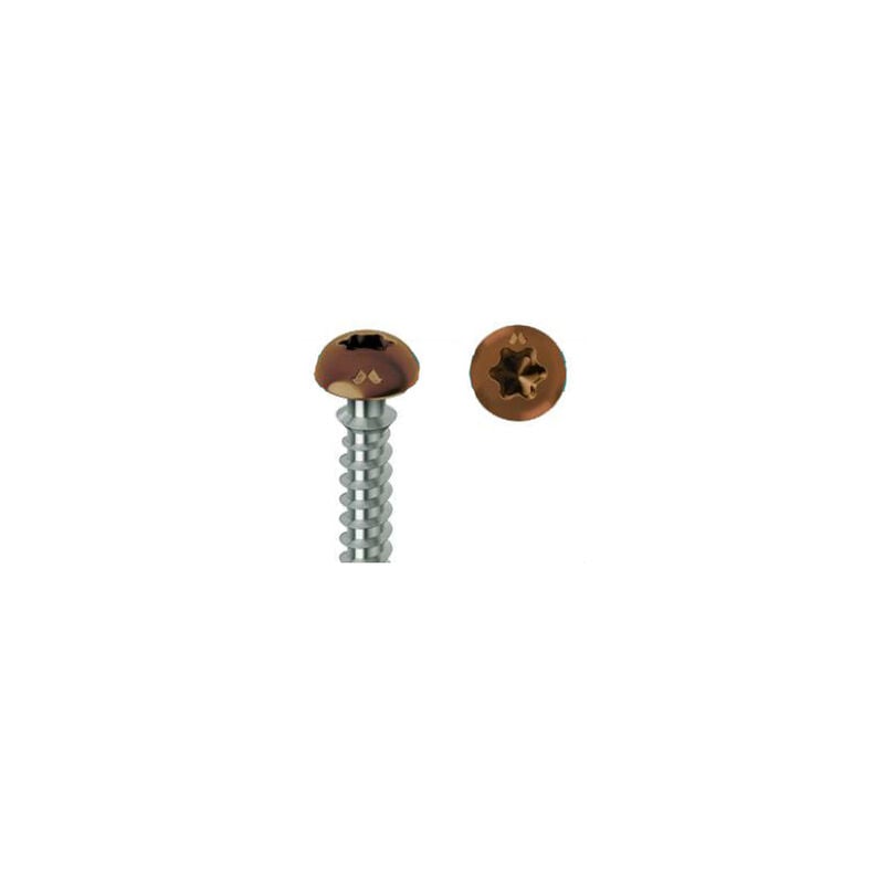 foto del prodotto vite per pvc framex testa svasata torx ridotta 6x70 mm scatola da 100 cromatura laccata marrone sp305a60070034c mustad
