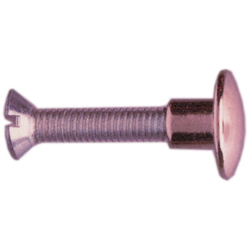 foto del prodotto vite per sedia 30 mm borchia ottone nichelato 250 pz