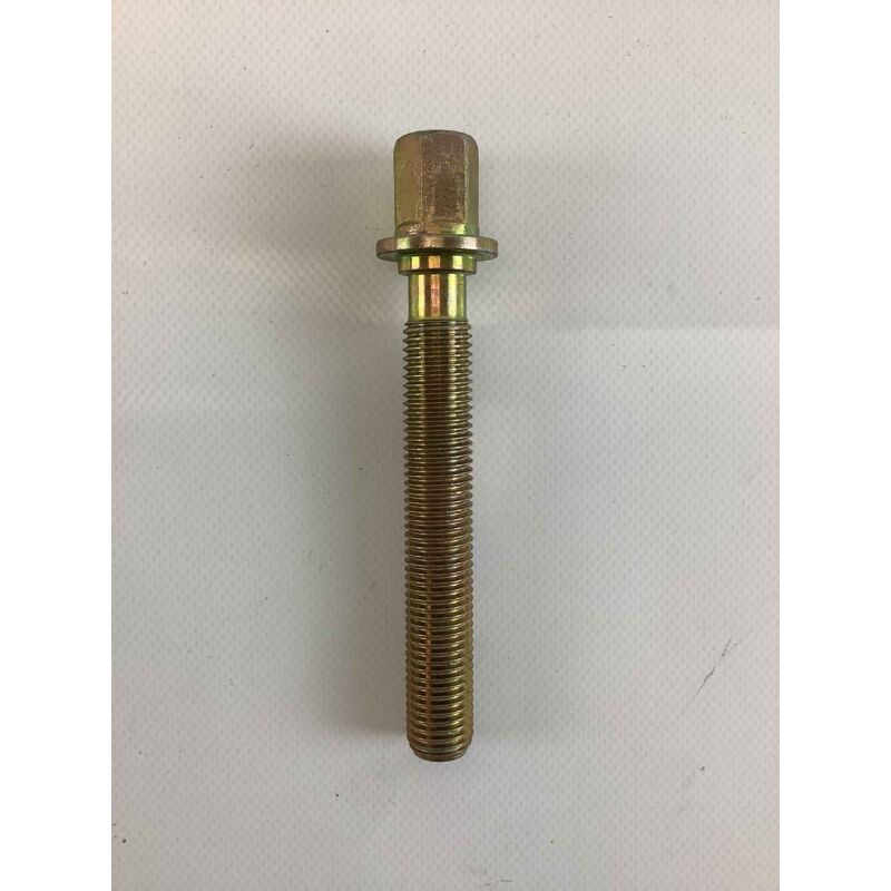 foto del prodotto vite regolazione m16x100 originale goldoni 00000248