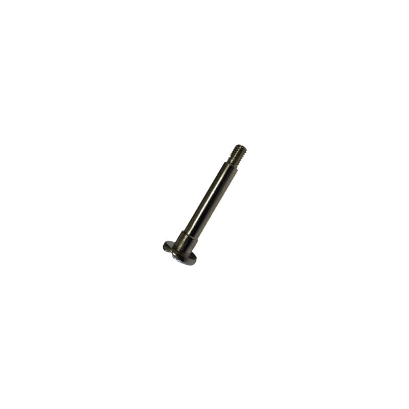foto del prodotto vite rotonda originale 4055420956 electrolux