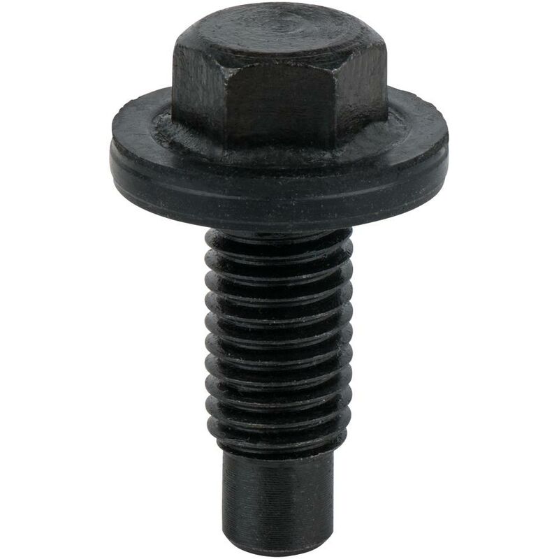 foto del prodotto vite scarico olio, esagonale 15 mm,m12x1,75x28,5 mm,confezione da 25