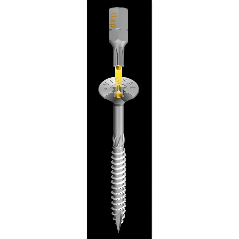 foto del prodotto vite speciale legno vitelegno zincata testa fresata tx5,0 x 60 mm scatola di 200 viti tx25