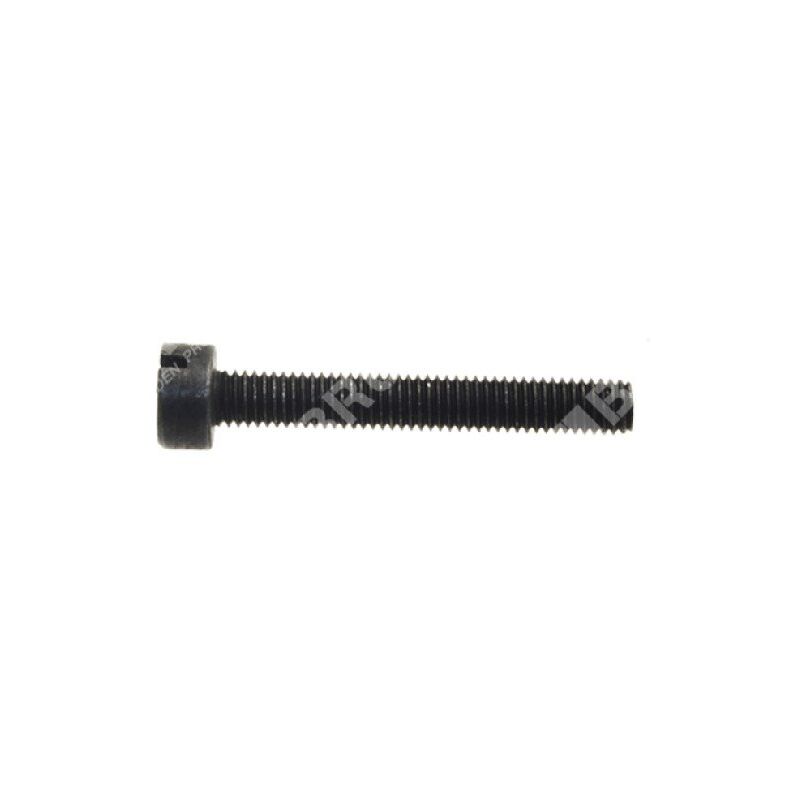 foto del prodotto vite tendicatena per potatori ikra mogatec compatibile 043250