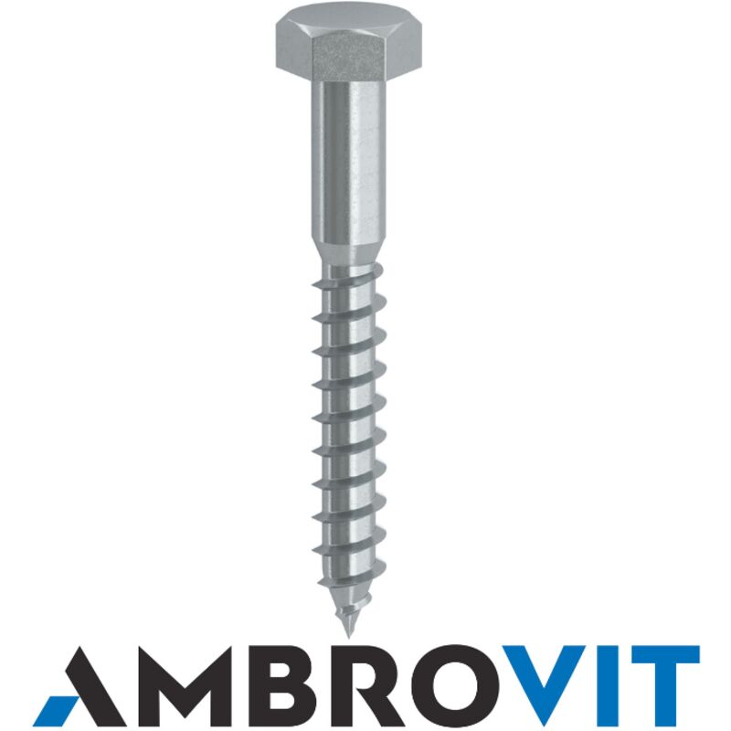 foto del prodotto vite tirafondi te mm.10x70 zincate