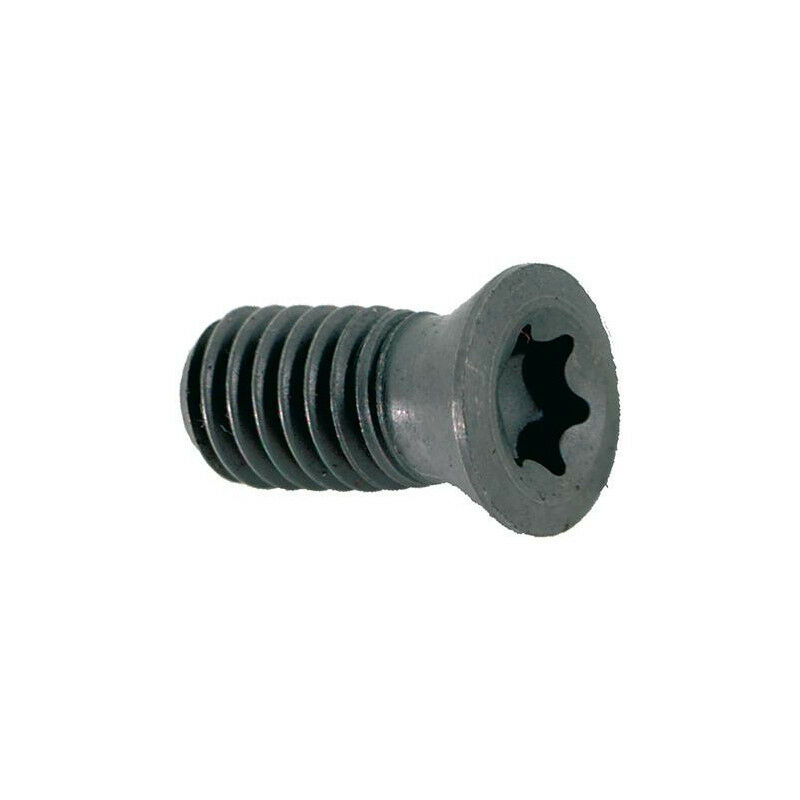 foto del prodotto vite torx per d. 8mm