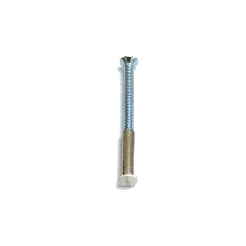 foto del prodotto vite zincata 4x40 mm per rivettatura a blocco vachette 866299