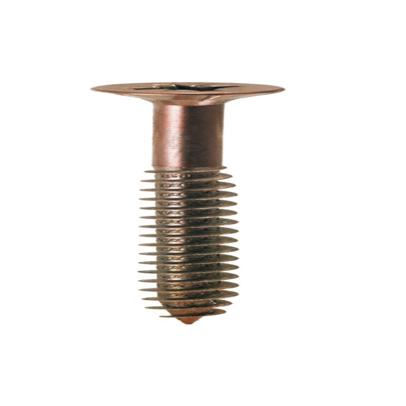 immagine 0 del prodotto viti a legno t.s.p. 1 2 fil. bronz. 4x50