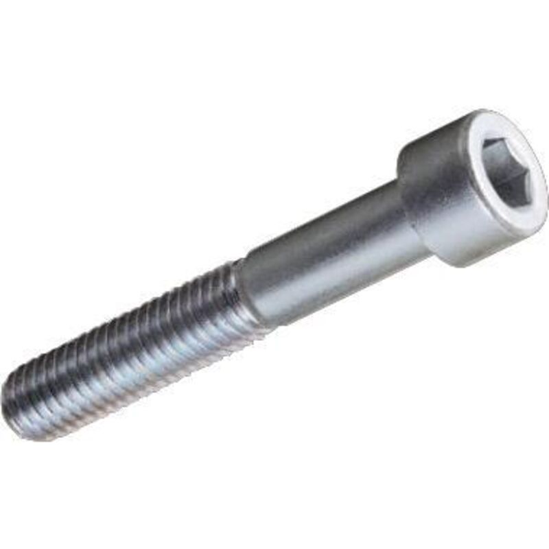 foto del prodotto viti metallo tc esagono incass. 5x50mm zincate