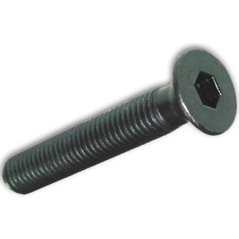 foto del prodotto viti metallo tp esagono incass. 6x25mm brunite