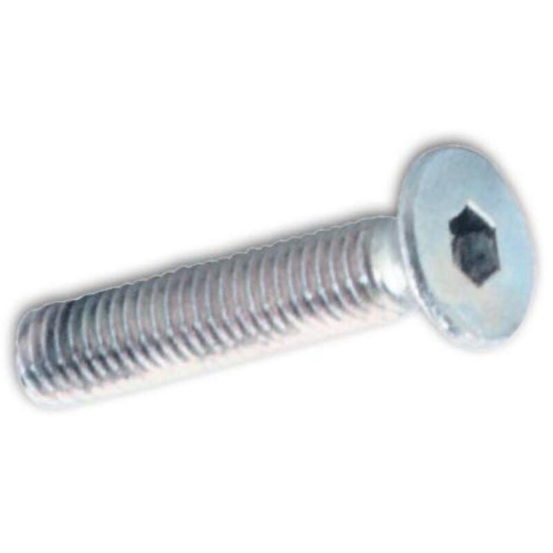 foto del prodotto viti metallo tp esagono incass. 8x30mm zincate