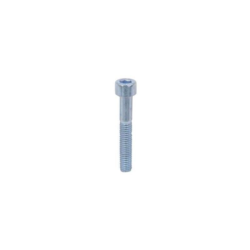 foto del prodotto viti metriche brugola zincate testa cilindrica. mm.6x30