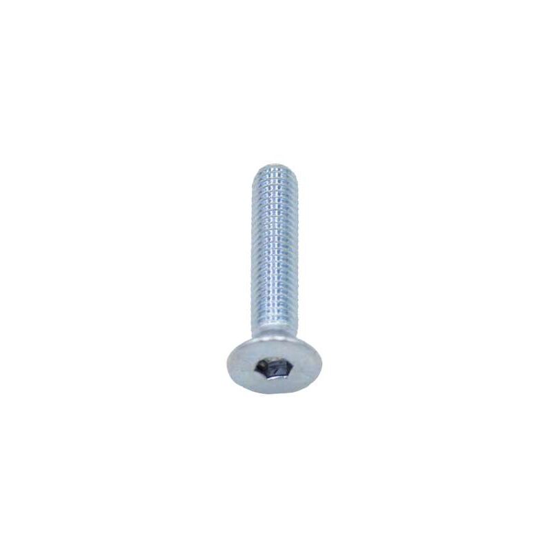 foto del prodotto viti metriche brugola zincate testa svasata piana mm.6x20