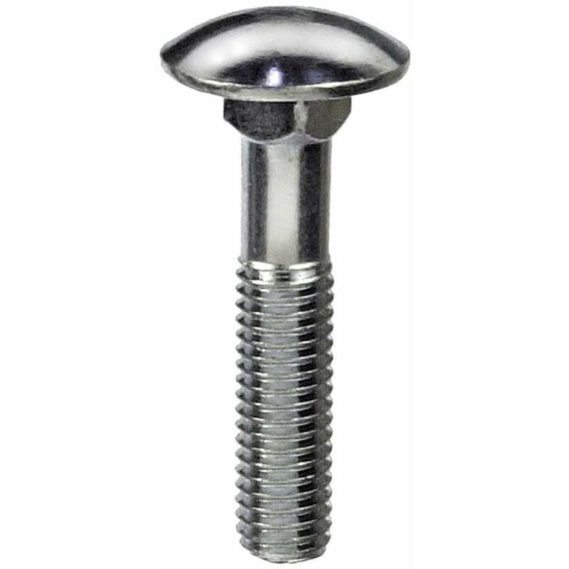 foto del prodotto viti metriche testa tonda quadro sottotesta inox a2 6x40 4 pz