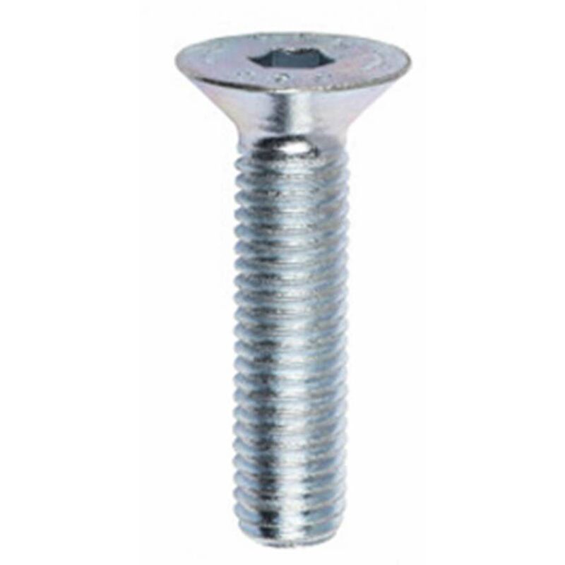 foto del prodotto viti metriche tspei inox a2 m8 x 40 4 pz.