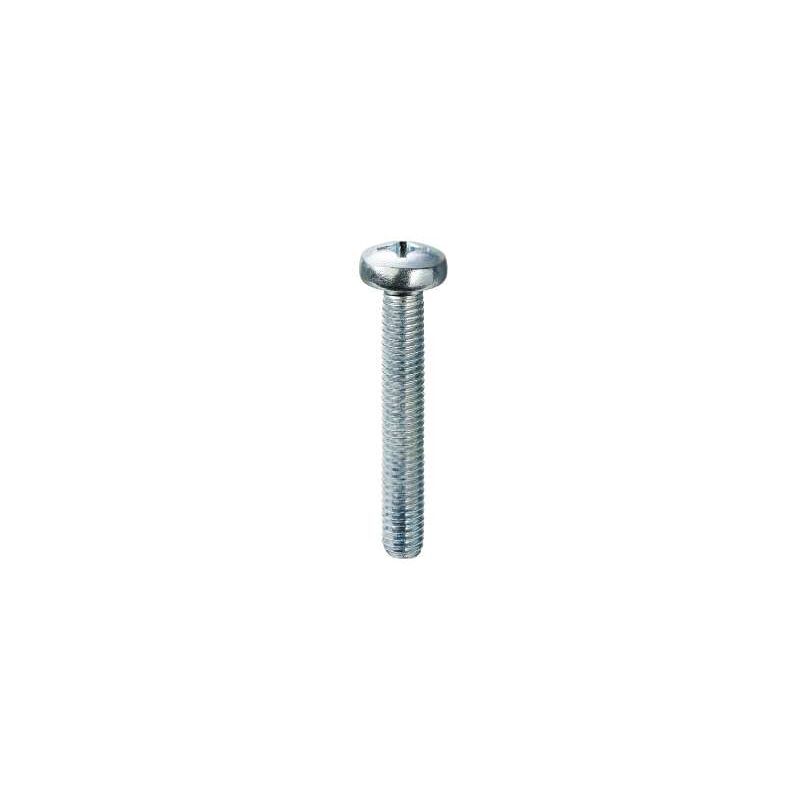foto del prodotto viti metriche zincate testa cilindrica mm.4x30
