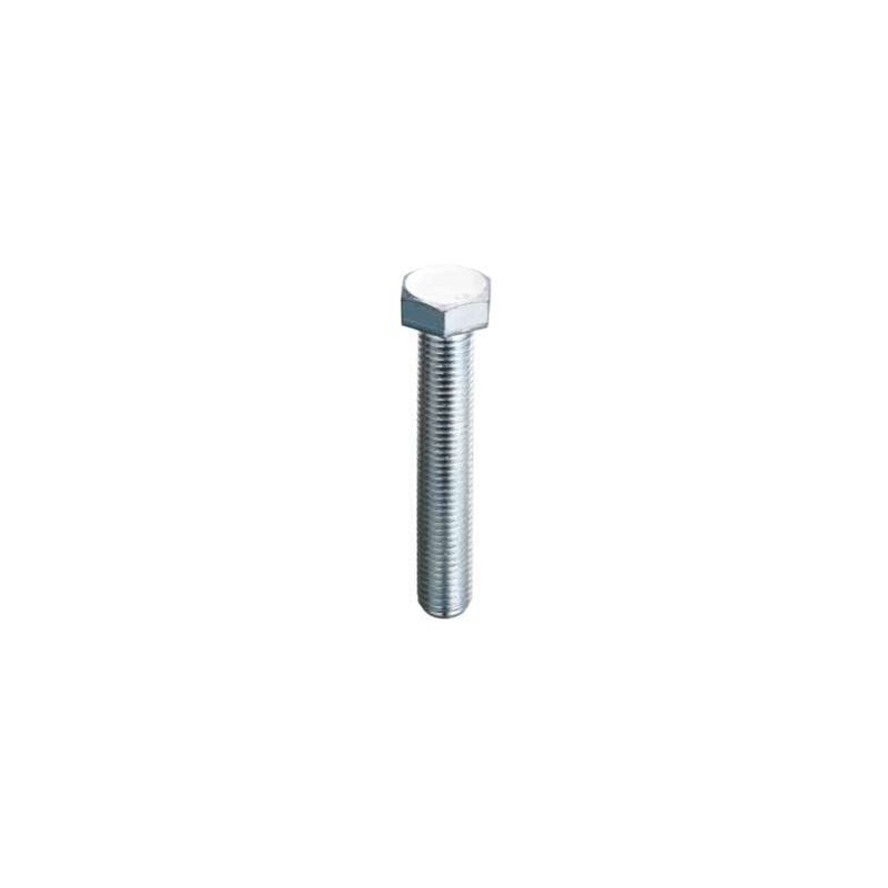 foto del prodotto viti metriche zincate testa esagonale mm.120x70