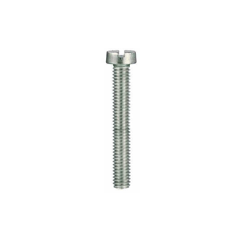 foto del prodotto viti per metallo testa cilindrica inox 4 x 30 13 pz.