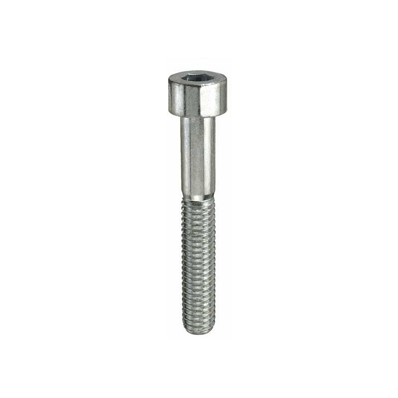 foto del prodotto viti testa cilindrica eagono incassato m6 x 30 8 pz.