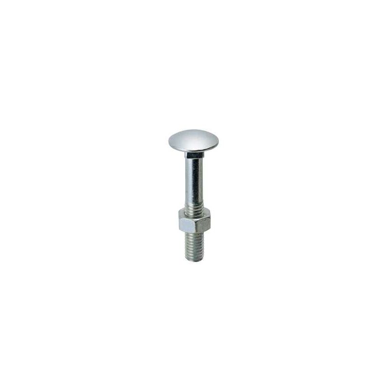 foto del prodotto viti testa tonda con quadro sottotesta ttq inox mm.6x 30