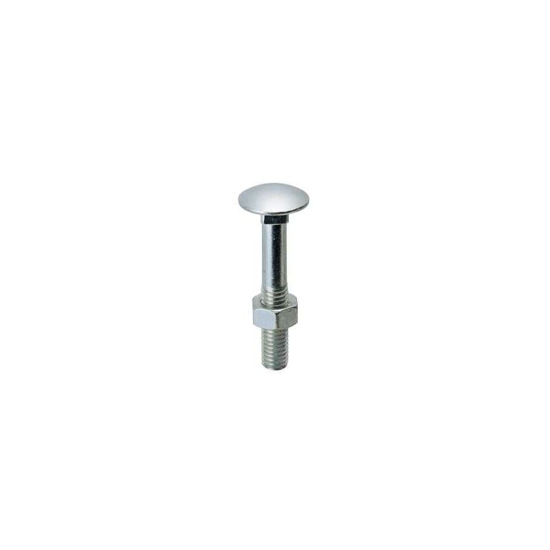 foto del prodotto viti testa tonda con quadro sottotesta ttq inox mm.6x 40
