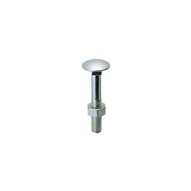foto del prodotto viti testa tonda con quadro sottotesta ttq zincate mm.5x50