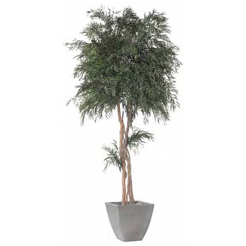 foto del prodotto vivaio garden forest pianta stabilizzata nicolay h130cm no acqua, no manutenzione pianta da interno