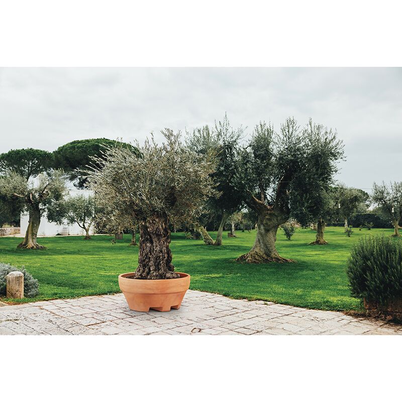 foto del prodotto vivaio garden forest vaso ursus 120 120 x 60h in resina per piante di grandi dimensioni colore bianco