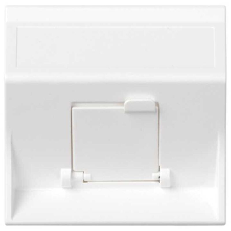 foto del prodotto voce inclinata e targhetta dati cg per 1 modulo simon bianco 50000081-030