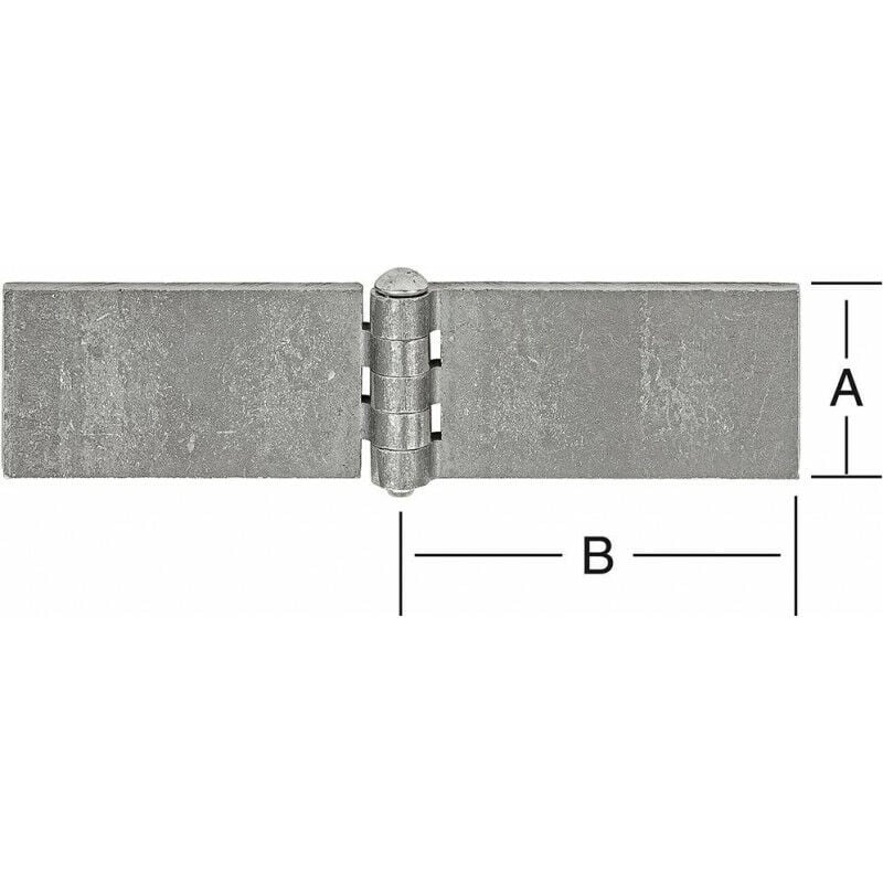foto del prodotto vormann cerniera della porta della macchina. ferro crudo 40x60mm