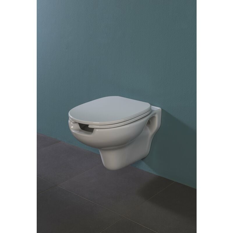 foto del prodotto water confort sospeso disabili cm. 55x37 5 in ceramica bianco