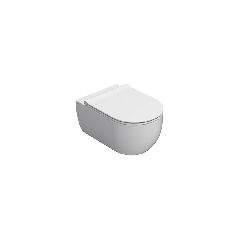 foto del prodotto water mode sospeso senza brida rimless cm. 53x34 bianco lucido