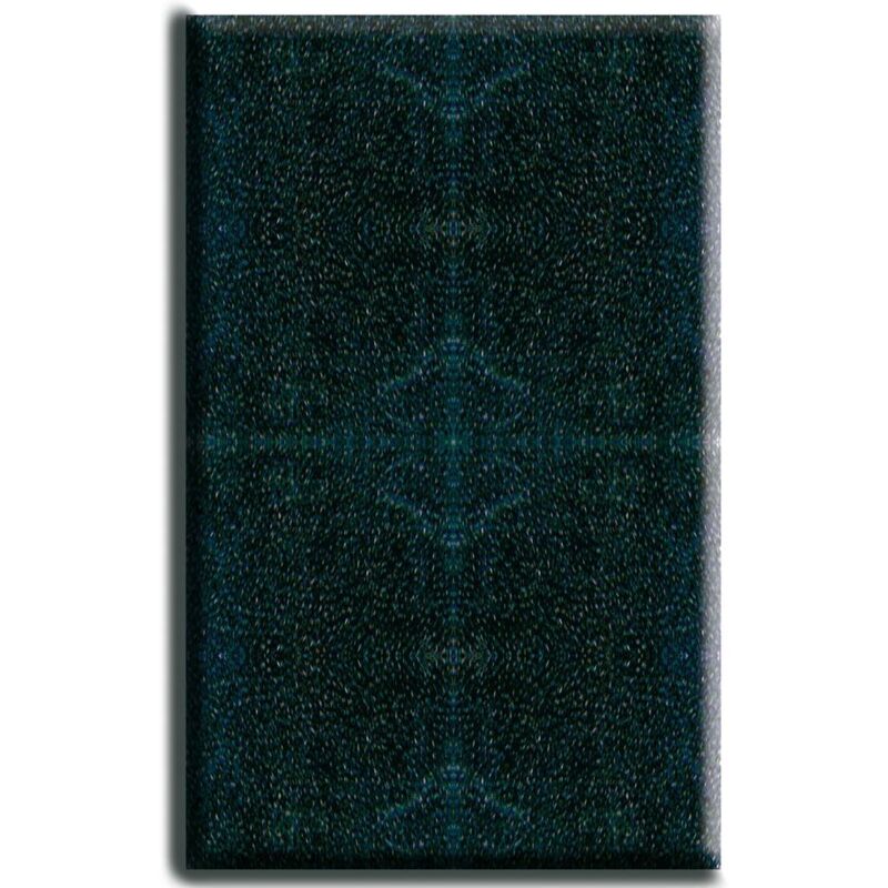 foto del prodotto wave - ricambio spugna nera per filtro a zainetto niagara 190