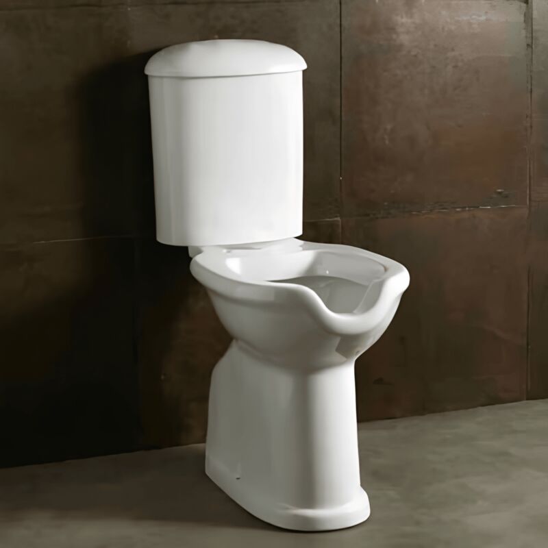 foto del prodotto wc a terra monoblocco tradizionale con scarico a suolo alice ceramica confort bianco lucido
