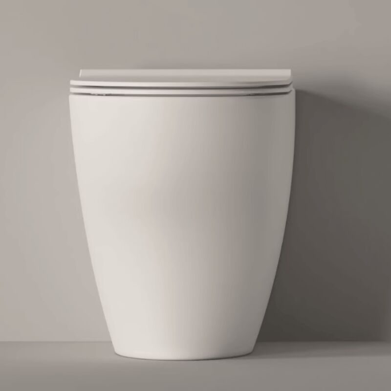 foto del prodotto wc a terra senza brida alice ceramica unica bianco lucido