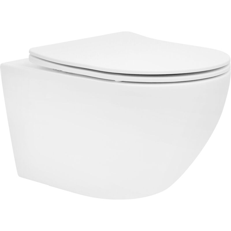 foto del prodotto wc sospeso da parete senza bordo a muro bianco opaco ceramica con sedile rimovibile in duroplast meccanismo di chiusura rallentata soft close