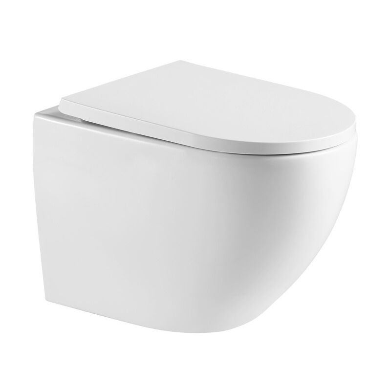 foto del prodotto wc sospeso senza flangia con fissaggi invisibili e sedile anticaduta sat67010rrexp swiss aqua technologies