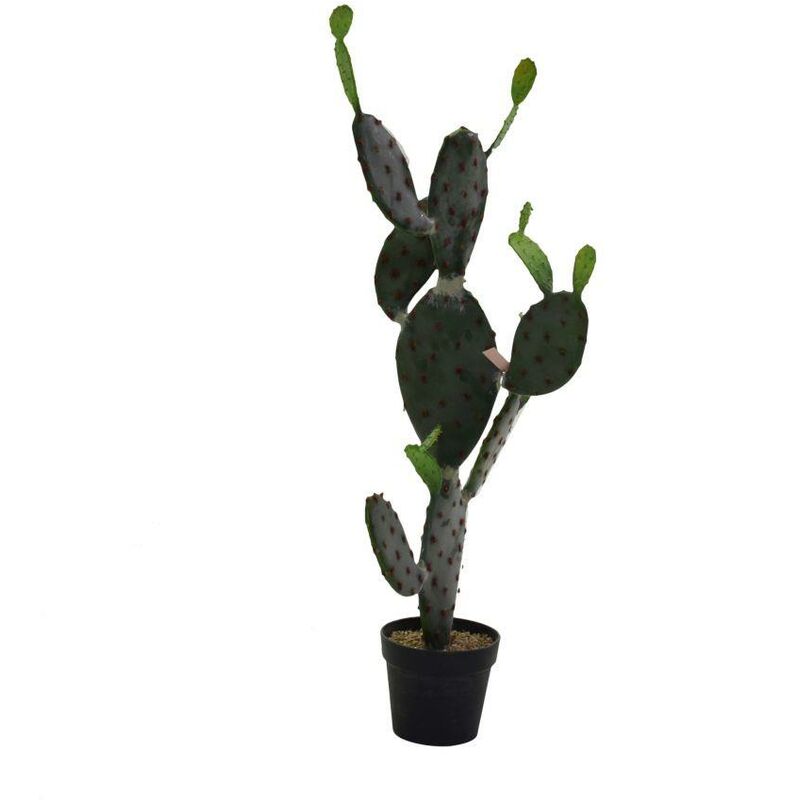 foto del prodotto webmarketpoint pianta cactus c vaso nero cm 60x45h119