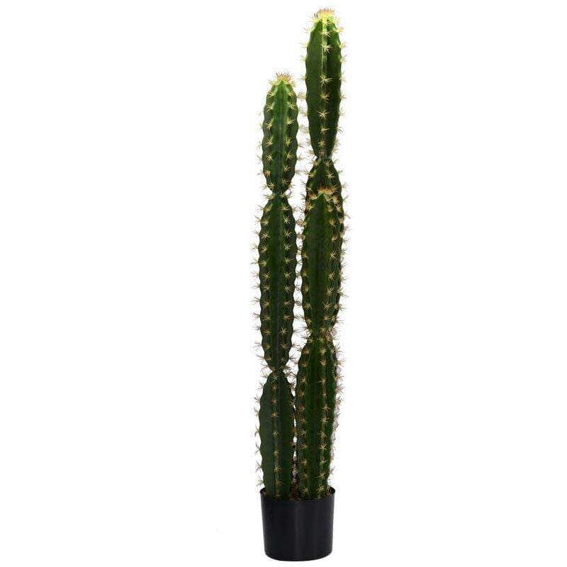 foto del prodotto webmarketpoint - pianta cactus con vaso tondo cm 18h124