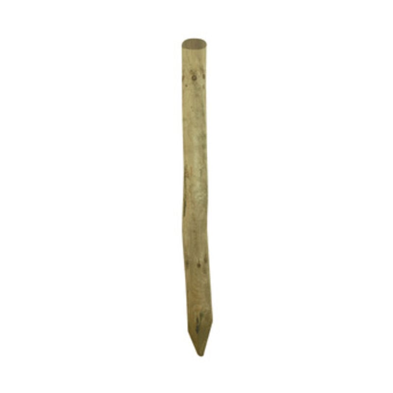 foto del prodotto wellton sp.zo.o. palo punta in pino impregnato cm 6x250h
