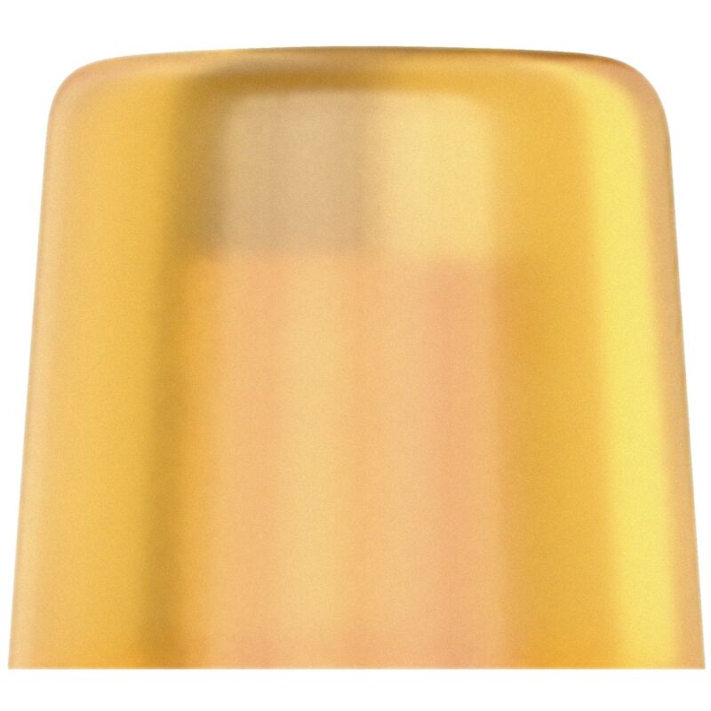 foto del prodotto wera, 100 l teste di ricambio in cellidor per il mazzuolo 100, 1 x 22 mm