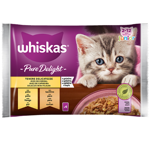 foto del prodotto whiskas pure delight junior ricette in gelatina multipack 4 pezzi da 85 gr tenere delicatezze 1 ordine scegli lo sconto bzr5 bzr20 200 punti fedelt 