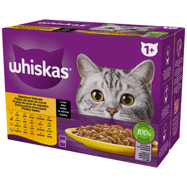foto del prodotto whiskas ricette in salsa multipack 4 pezzi da 85 gr selezione delicata 1 ordine scegli lo sconto bzr5 bzr20 200 punti fedelt 