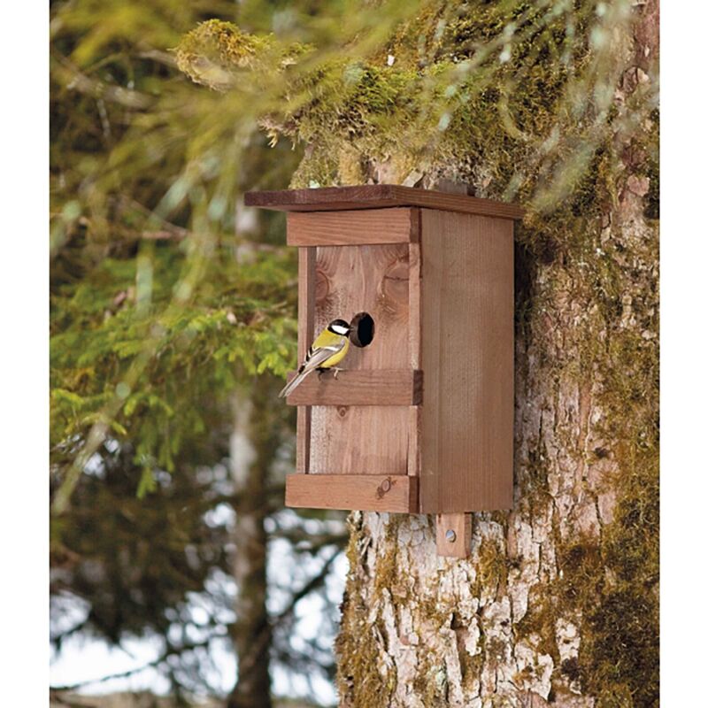 foto del prodotto windhager nido per uccelli in legno massiccio verniciato