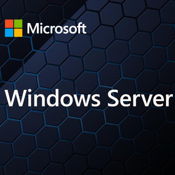 foto del prodotto windows server cal 2025 it 1dev cal