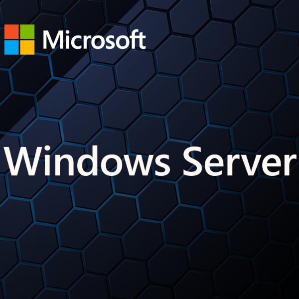 foto del prodotto windows server cal 2025 it 5dev cal