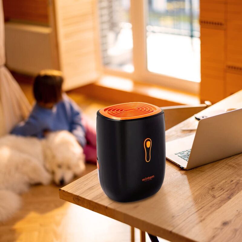 foto del prodotto wintem nettuno deumidificatore compatto portatile intelligente serbatoio 750 ml con sistema di allarme autospegnimento